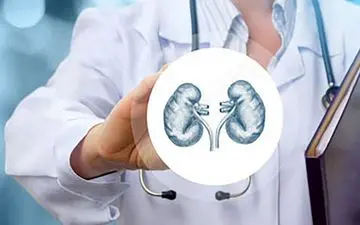 بهترین غذاهای گیاهی دوستدار کلیه ها