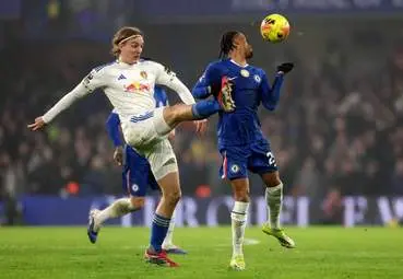 IMG_20260211_030114_473