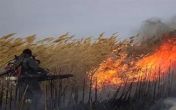  هورالعظیم در آتش؛ بیش از ۲۳ هزار هکتار از بخش عراقی تالاب سوخت 