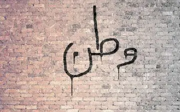 شعارنویسها این گونه شناسایی میشوند! رصد لحظه به لحظه شعارنویس ها توسط پهپاد سپاه + ویدئو لحظه دستگیری