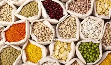  قیمت لوبیا چیتی رکورد گرانی را زد 