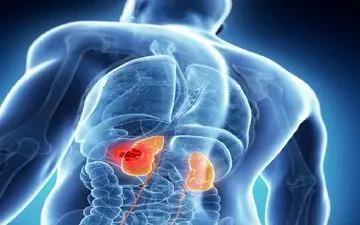 آشنایی با مهمترین عوامل نارسایی کلیه