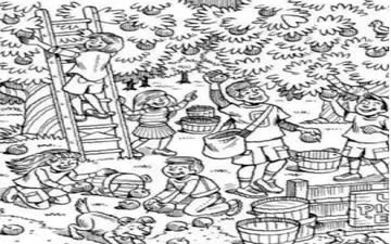 ماهی در تصویر رو پیدا کن / تست بینایی سخت که فقط دقیق ترین افراد متوجه می شوند!