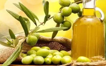 دلایلی برای استفاده هرچه بیشتر از زیتون