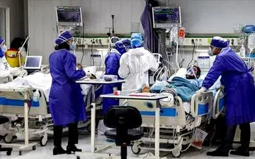 قارچ سیاه چطور شیوع پیدا می کند؟