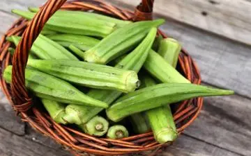 دیابتی ها بخوانند؛ 18 دلیل برای قرار دادن بامیه در رژیم غذایی