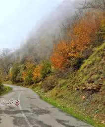 گزارش تصویری | گیلان؛ مقصدی رویایی برای عاشقان پاییز