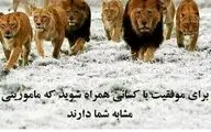 واکنش اینستاگرامی علی کریمی بعد از جدایی از تیم نفت (عکس)