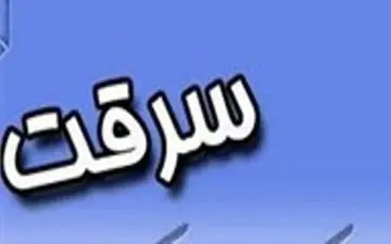 اعتراف زن سارق به 8 فقره سرقت در زائرسرای سرخه