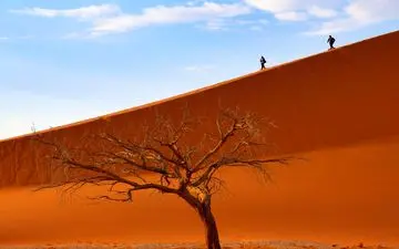 عکس منتخب نشنال جئوگرافیک | تپه 45