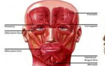 درج عنوان «پوست و زیبایی» در سرنسخه دلیل بر متخصص بودن پزشک نیست