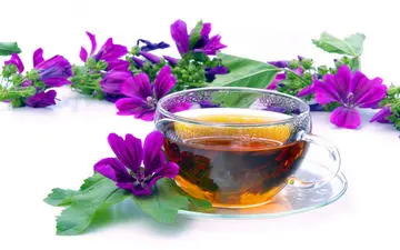 گیاهی فوق العاده با تاثیرات شگفت انگیز بر مو و پوست