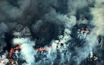 آتش دیوانه در جنگل‌های آمازون 