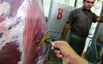 جدی بگیرید! تب کریمه کنگو در کمین شهروندان