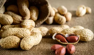 بادام‌زمینی روند پیری را آهسته می‌کند