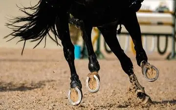  تیم ملی پرش با اسب ایران هفتم شد 