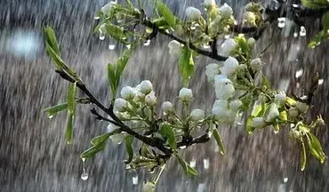 هوای مازندران تا پایان هفته جاری خنک است