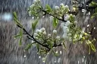 هوای مازندران تا پایان هفته جاری خنک است