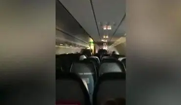 وجود یک خفاش در هواپیما، مسافران را وحشت‌زده کرد