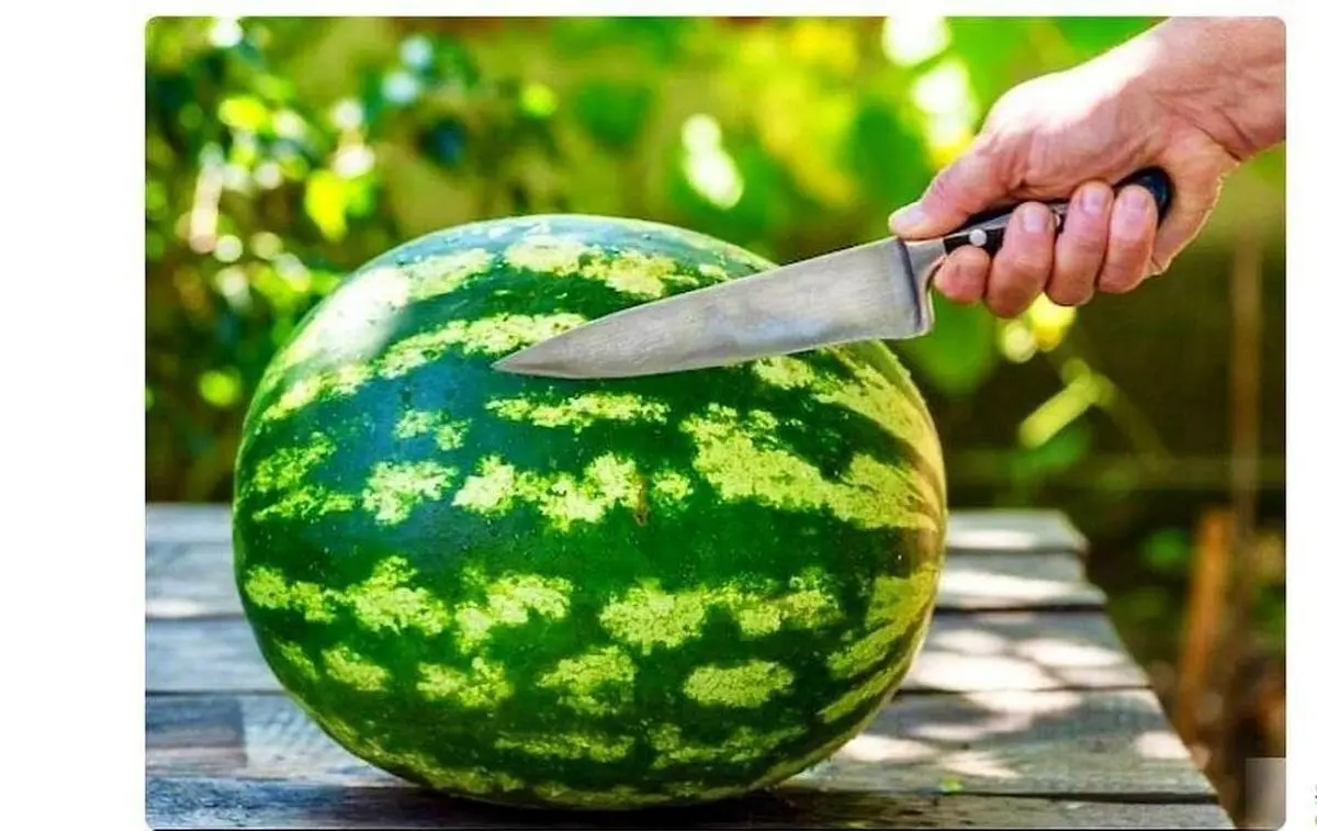 مهم/ قبل از خوردن هندوانه حتما این کار را انجام دهید