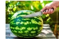 مهم/ قبل از خوردن هندوانه حتما این کار را انجام دهید