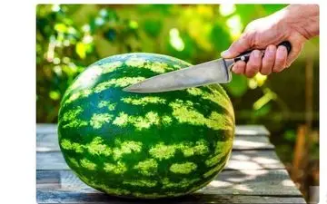 مهم/ قبل از خوردن هندوانه حتما این کار را انجام دهید