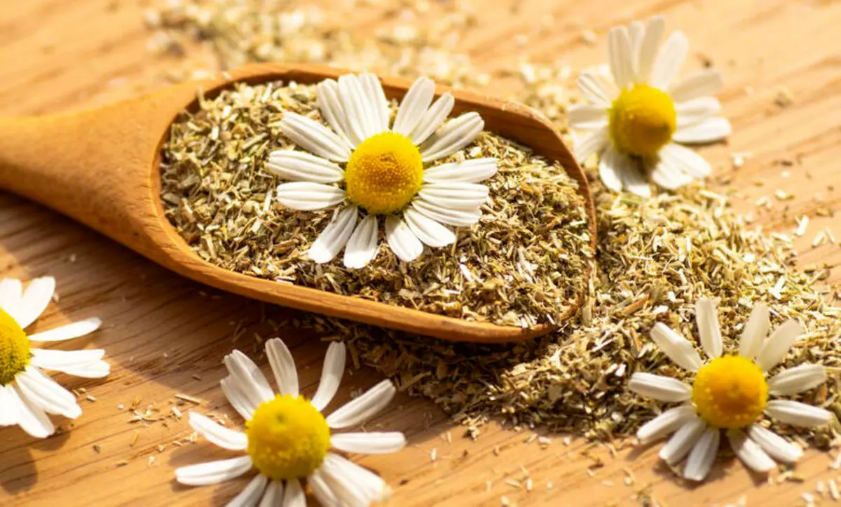 آرام‌بخش طبیعی برای تسکین درد و بهبود خواب