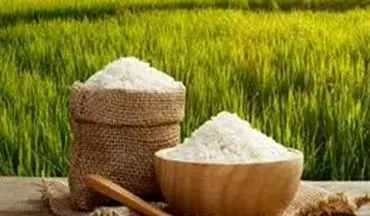 دلایل افزایش 38 درصدی قیمت برنج ایرانی 