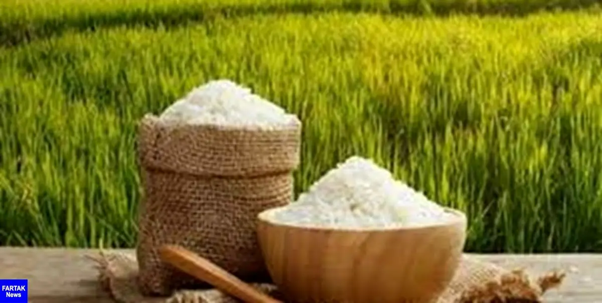 دلایل افزایش 38 درصدی قیمت برنج ایرانی 