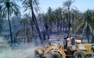 آتش‌سوزی 105 نخل خرمای دلگان را خاکستر کرد