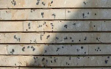 جای رگبار گلوله تروریست ها روی دیوار یک خانه + عکس