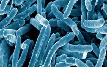 هشدار/ این علائم مرگبار را جدی بگیرید!