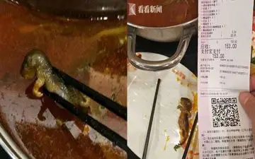 پیدا شدن موش در غذا، رستوران را به هم ریخت! +فیلم 