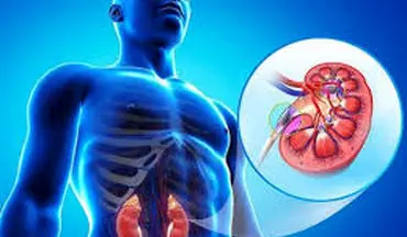 اگر نگران سلامت کلیه هایتان هستید این مطلب را بخوانید!