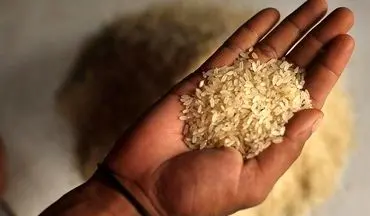 «آرسنیک» موجود در برنج در روش‌های پخت متداول از بین نمی‌رود 