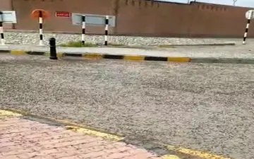 فیلم/ هجوم ملخ ها به پاسگاه مهران در استان ایلام