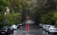 
وقوع باران و طوفان در تهران/ از فردا هوا گرم می‌شود؟
 