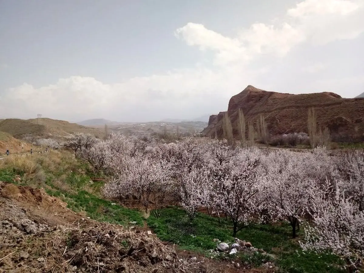 دشت ماهار زنوز؛ جاذبه‌ای چشم‌نواز در آذربایجان شرقی
