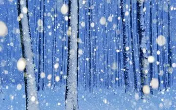 خبر خوش ؛ برف و باران در راه است !