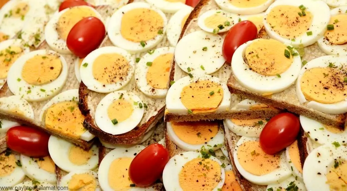 تخم مرغ آب پز یا املت؛ کدام برای شما مفیدتر است؟