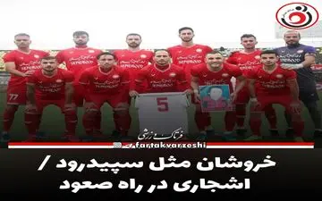 خروشان مثل سپیدرود / اشجاری در راه صعود