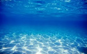 شنای پسر نوجوان از ژاپن تا سانفرانسیسکو + فیلم