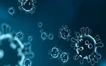 نقش طب سنتی در تقویت ریه‌ها برای مقابله با کرونا