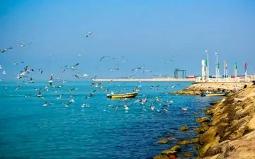 هر آنچه باید درباره خرید ارزان بلیط بوشهر بدانید