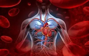 روش‌هایی برای افزایش گردش خون در پاها