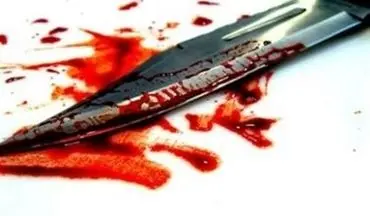  قتل فجیع پزشک جوان توسط برادر با الهام از سریال نمایش خانگی "خ.س."! 