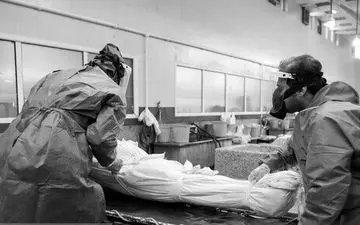 
تازه ترین آمار جهانی کرونا/ثبت بیش از ۵۴۸ میلیون مبتلا تاکنون