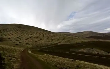 عرصه های منابع طبیعی با اعتبارات صندوق توسعه ملی جان دوباره گرفتند