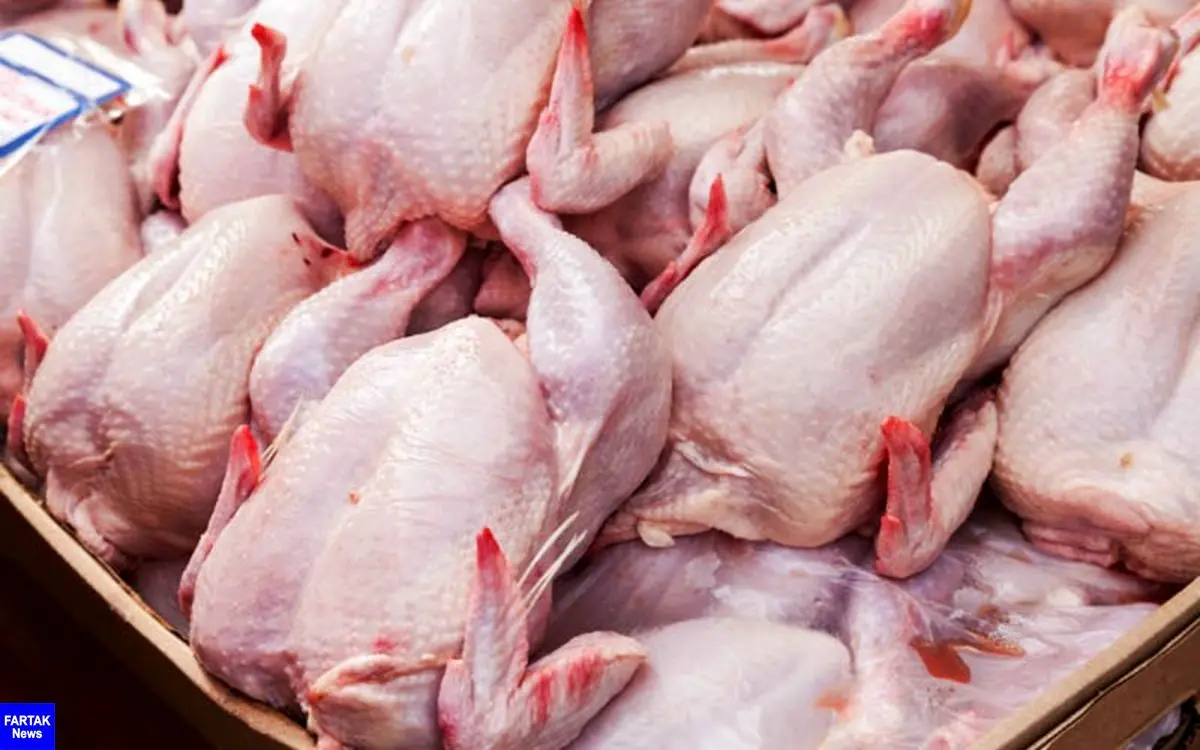 اخلال دلالان در نظام عرضه نهاده های دامی، مرغ را گران کرد