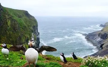  سفر در طبیعت کشور زیبای ولز